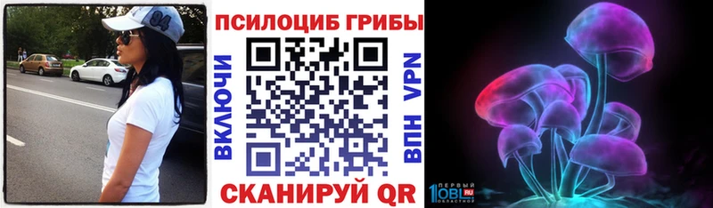 Псилоцибиновые грибы Cubensis Порхов